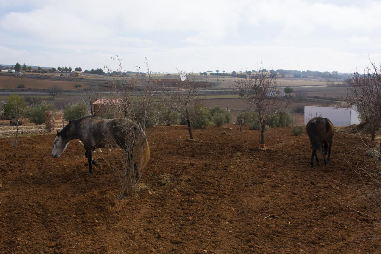 El Retiro De Cervantes Ossa de Montiel Zewnętrze zdjęcie