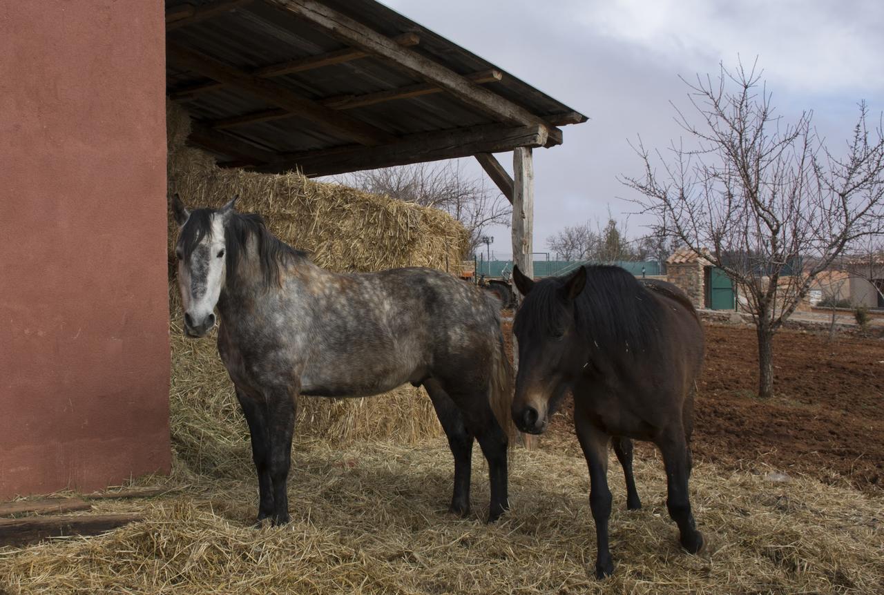 El Retiro De Cervantes Ossa de Montiel Zewnętrze zdjęcie